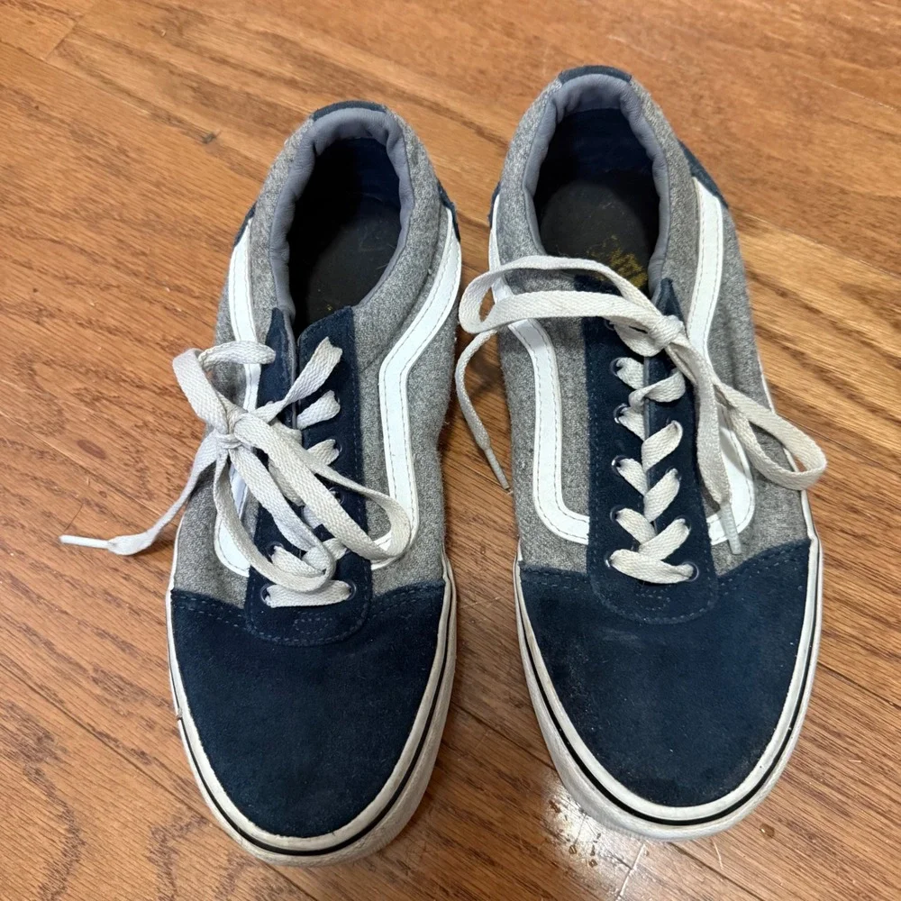 Vans iconic skate